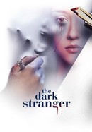 The Dark Stranger poster image
