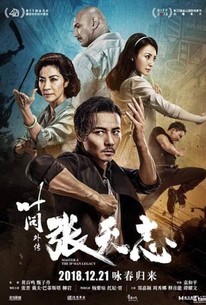 Master Z: The Ip Man Legacy (2018) - Rotten Tomatoes