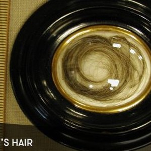 Beethoven's Hair photo 8