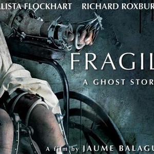 Fragile photo 3