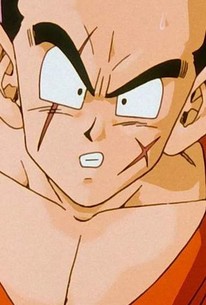 Dragon Ball Z: Season 1, Episode 15 - Rotten Tomatoes