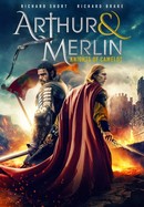 Arthur & Merlin: Knights of Camelot poster image