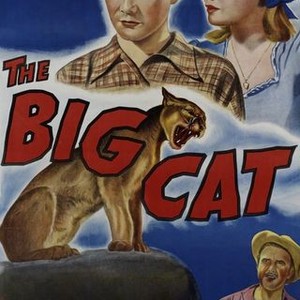 The Big Cat photo 9