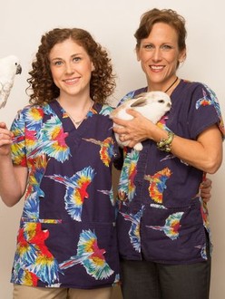 Avian and exotic dr k hotsell