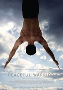Peaceful Warrior poster image