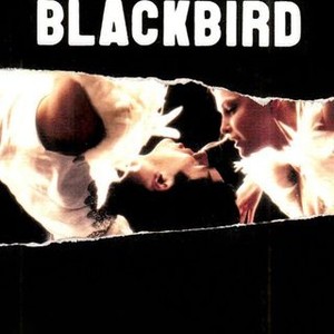 Bye Bye Blackbird photo 3