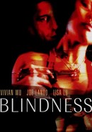 Blindness poster image