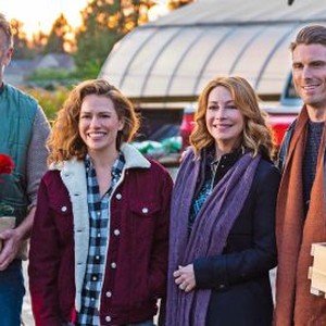 Poinsettias for Christmas - Rotten Tomatoes