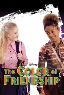 Poster for The Color of Friendship