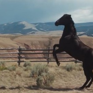 My Heroes Were Cowboys (2021) photo 12
