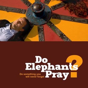 Do Elephants Pray? photo 7