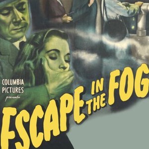 Escape in the Fog photo 6