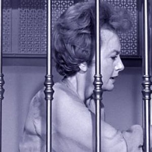 Lady in a Cage (1964) photo 4
