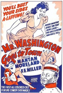 Mr. Washington Goes to Town poster