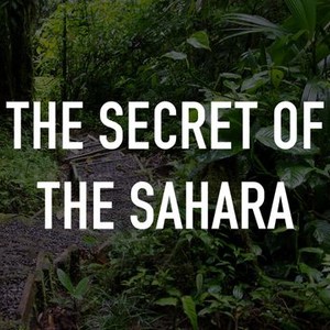 The Secret of the Sahara photo 1