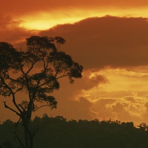 Sacred Planet photo 19