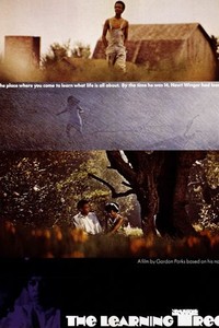The Learning Tree