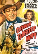 Down Dakota Way poster image