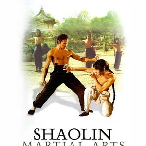 Shaolin Martial Arts photo 10