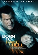 Born to Raise Hell poster image