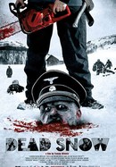 Dead Snow poster image