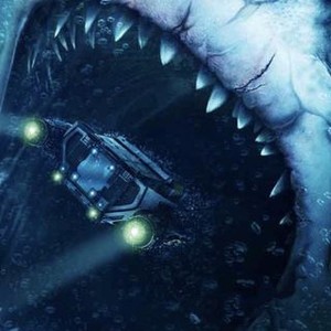 Megalodon photo 3