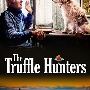 "The Truffle Hunters photo 14"