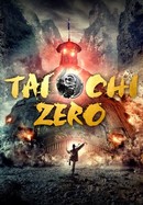 Tai Chi Zero poster image