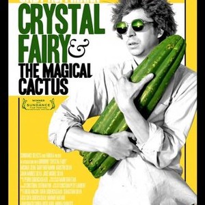 Crystal Fairy & the Magical Cactus photo 6