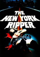 The New York Ripper poster image