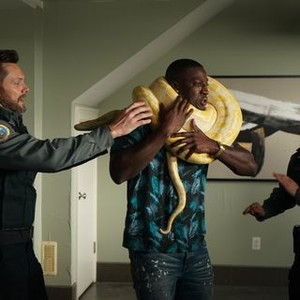 Animal Control - Rotten Tomatoes