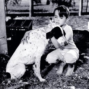 The Biscuit Eater (1940) photo 1