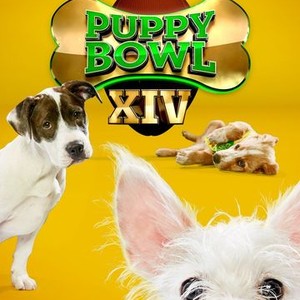 Puppy Bowl XIV - Rotten Tomatoes