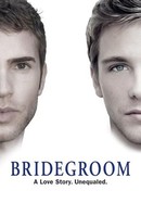 Bridegroom poster image