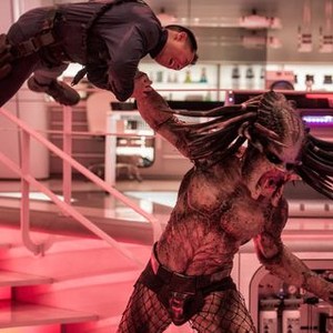 Image result for the predator
