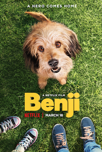 Watch trailer for Benji