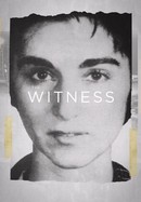 The Witness poster image