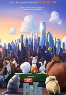 The Secret Life of Pets poster image