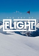 The Art of Flight poster image