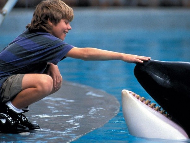 Free Willy | Rotten Tomatoes