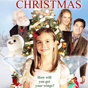 The Case for Christmas (2011) photo 2
