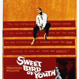 Sweet Bird of Youth (1962) photo 14