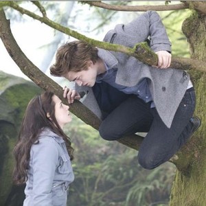 "Twilight photo 11"