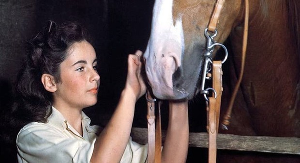 National Velvet | Rotten Tomatoes