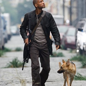 I Am Legend Movie Quotes Rotten Tomatoes