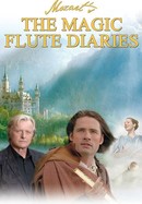 Magic Flute Diaries poster image