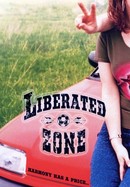 Liberated Zone poster image