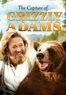 The Capture of Grizzly Adams poster image