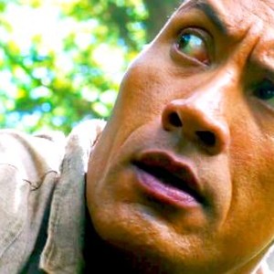Jumanji Welcome To The Jungle Movie Quotes Rotten Tomatoes