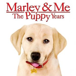 "Marley &amp; Me: The Puppy Years photo 1"